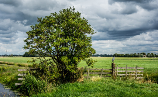975464 (a): :2048x1263